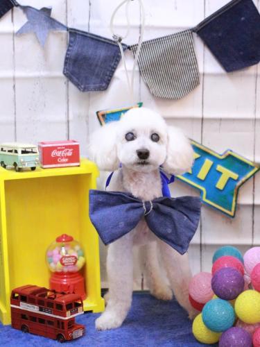 20230416エフくん